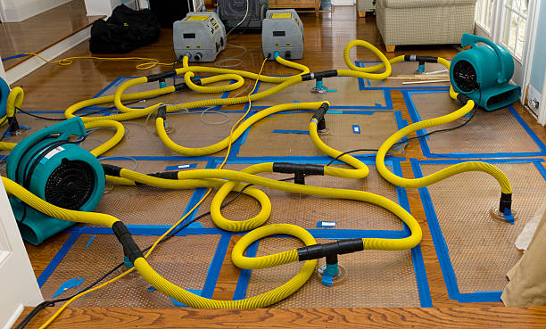 Professional Water Damage Repair technician working in Ringwood, IL
